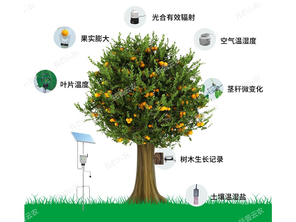 植物生理生態(tài)監(jiān)測系統(tǒng)TP-ZWSL