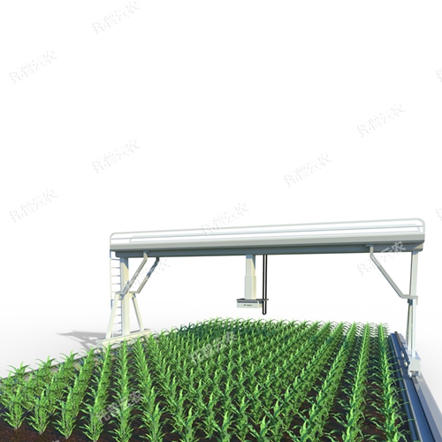軌道式田間高通量植物表型采集分析平臺
